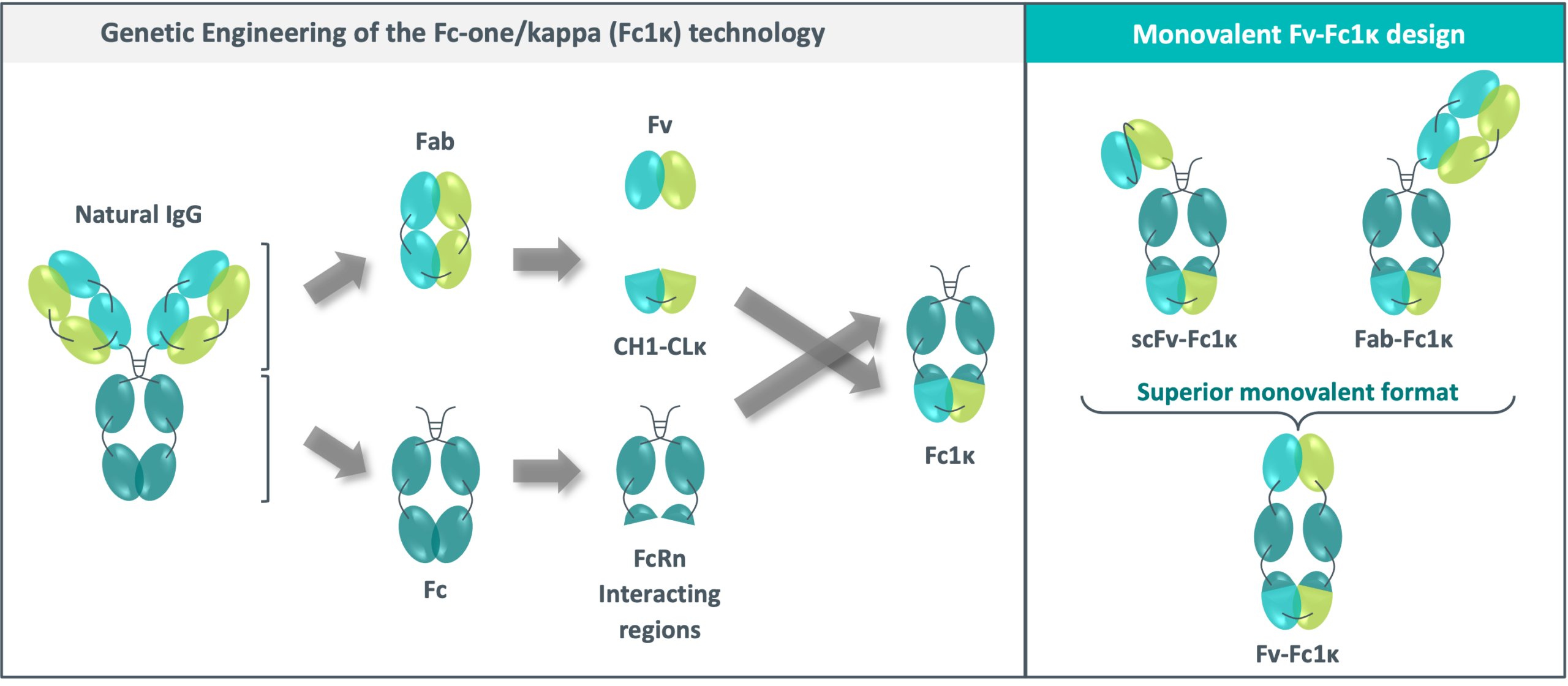 HERAKL1S technology HERAKL1S technology